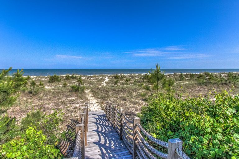 Palmetto Dunes Sarah Smith Realtor