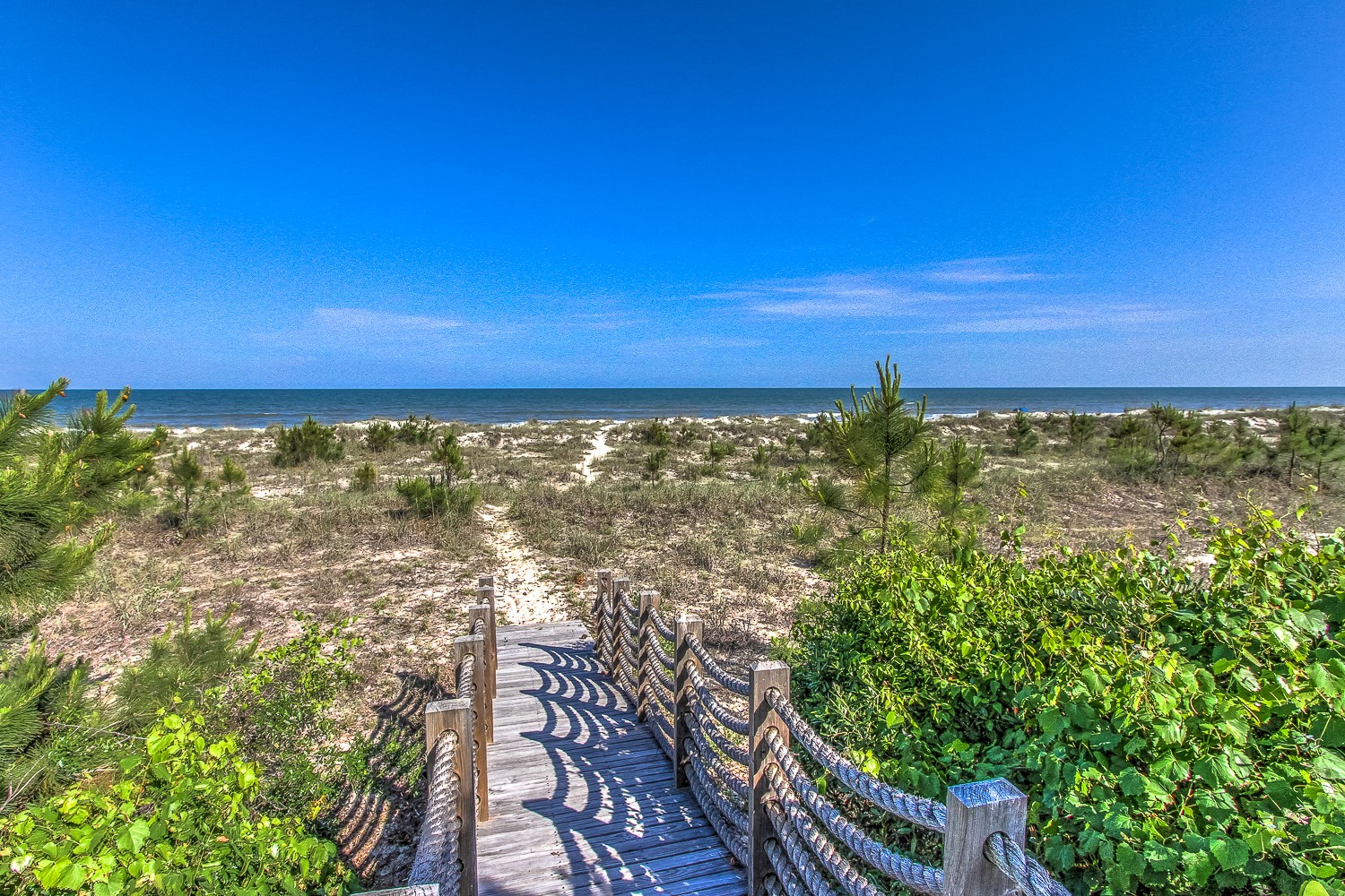Palmetto Dunes Sarah Smith Realtor